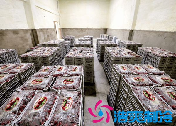 櫻桃氣調(diào)建造完成后有哪些儲存方法和步驟？_浩爽制冷