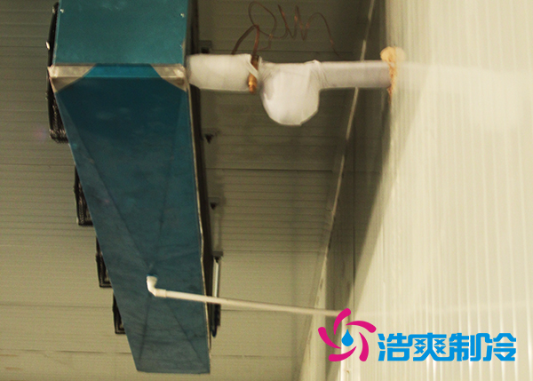 建造大型農(nóng)產(chǎn)品基地冷庫造價(jià)需要投資多少費(fèi)用？