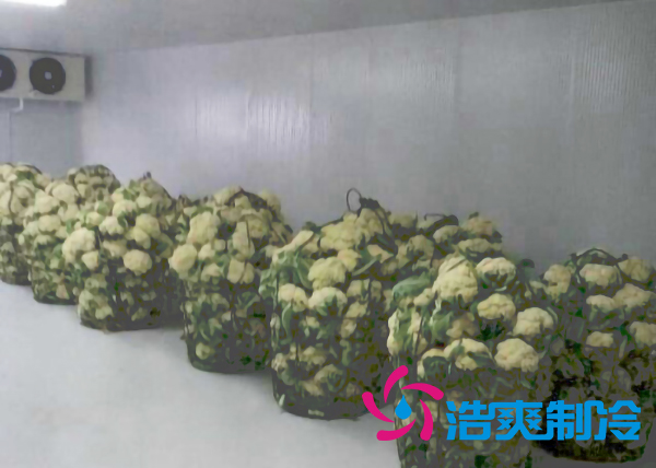 上海建造2000立方米鮮花氣調(diào)保鮮冷庫造價(jià)多少錢？