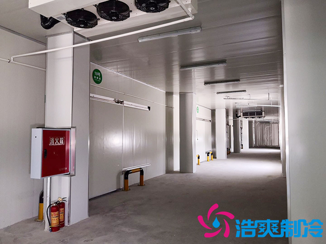 芭蕉氣調(diào)保鮮庫安裝如何確保果實(shí)的長(zhǎng)期儲(chǔ)存？_浩爽制冷