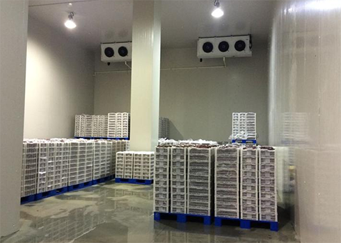 建造安裝1000㎡冷庫造價(jià)大概需要多少費(fèi)用？_浩爽制冷
