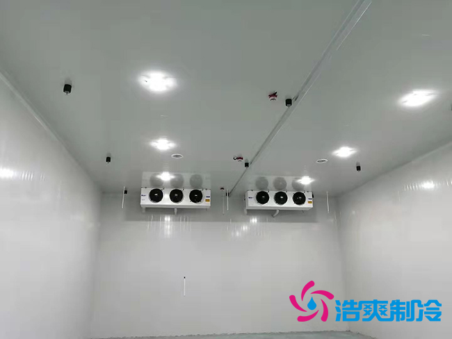 超低溫凍庫建設(shè)價格與哪些因素有關(guān)？_浩爽制冷
