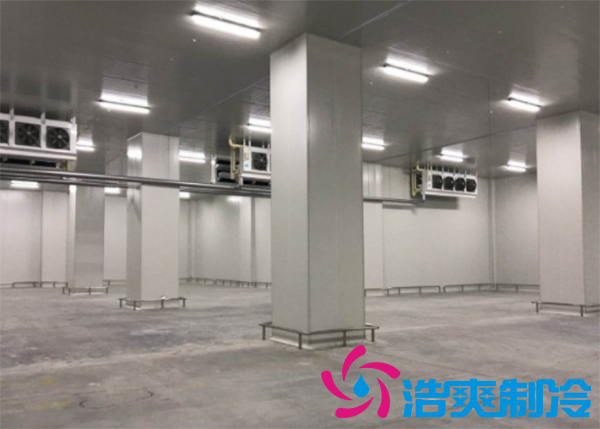 食品冷凍庫建造需要多少成本？_浩爽制冷