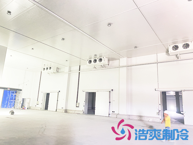 海南建造一個(gè)冷庫需要多少錢？_浩爽制冷