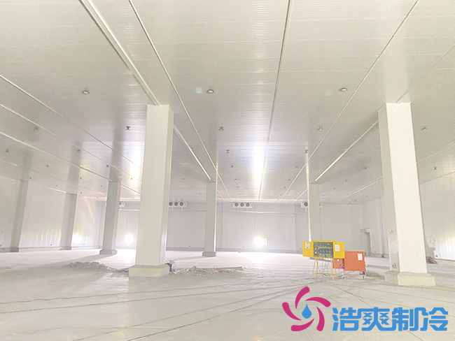 新建100噸桃子冷庫(kù)要多少錢(qián)？_浩爽制冷