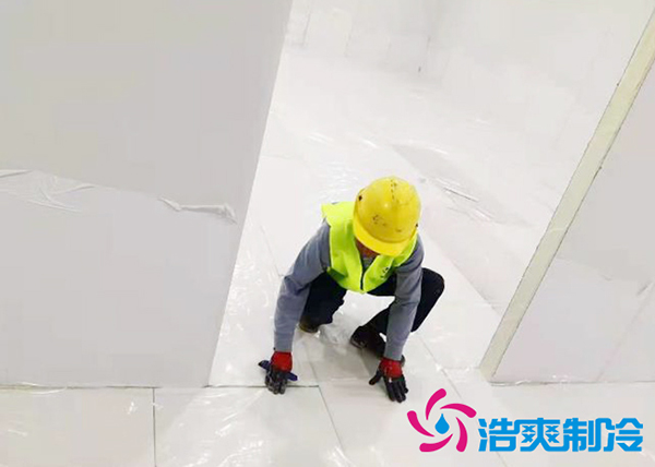 影響藍(lán)莓保鮮冷庫價(jià)格的因素有哪些？_浩爽制冷