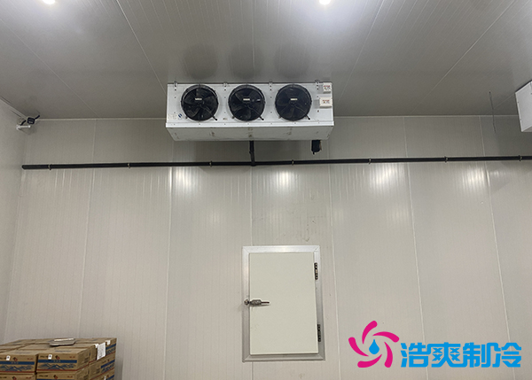 大型農產品物流園冷庫建設多少錢一平方合適？-浩爽制冷