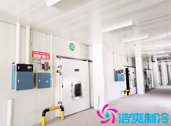農(nóng)產(chǎn)品批發(fā)市場(chǎng)建造700立方保鮮冷庫(kù)全套制冷設(shè)備報(bào)價(jià)多少錢？-浩爽制冷