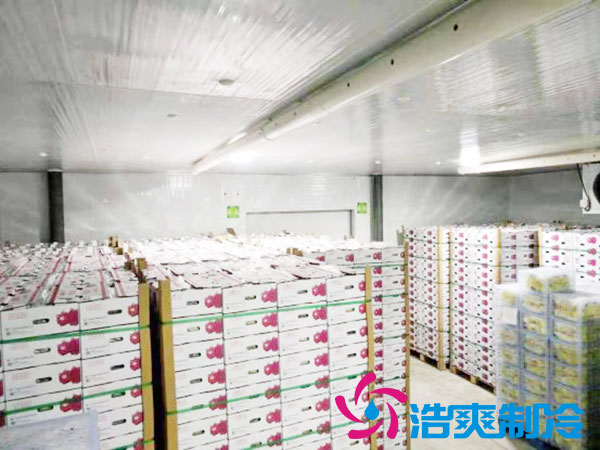 建造一個火龍果冷庫要花多少錢？-浩爽制冷