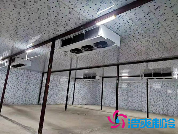 建造一個火龍果冷庫要花多少錢？-浩爽制冷