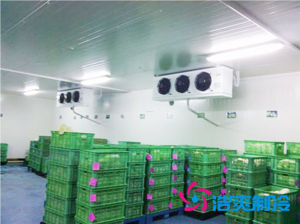 茶葉冷庫設(shè)置多少溫度合適？-浩爽制冷