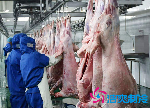 排酸冷庫安裝價錢多少錢？-浩爽制冷