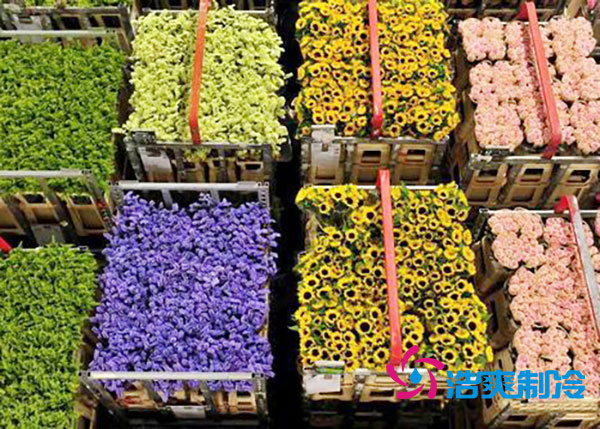 花卉冷庫(kù)安裝預(yù)算造價(jià)多少錢？-浩爽制冷