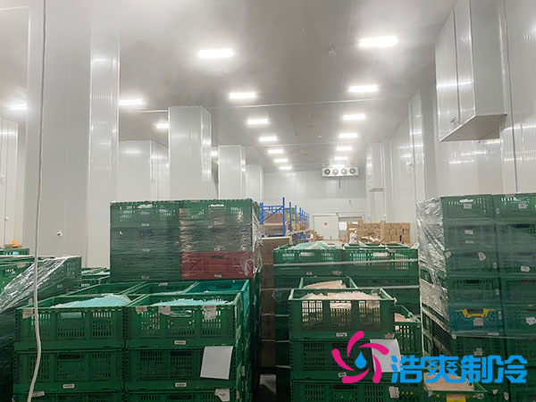 高溫冷庫建設(shè)多少錢一平方？-浩爽制冷