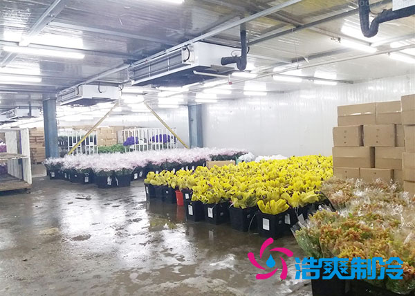 做個鮮花冷庫要多少錢？-浩爽制冷