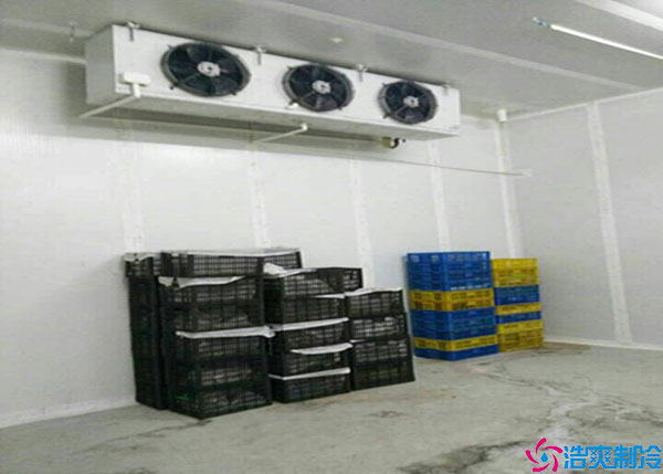 寧夏氣調(diào)冷庫(kù)如何建造？.jpg