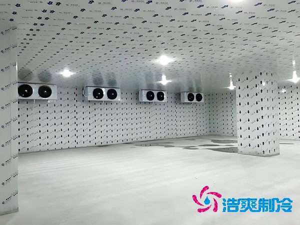 江蘇地區(qū)100平米低溫冷庫造價(jià)預(yù)算解析-浩爽制冷