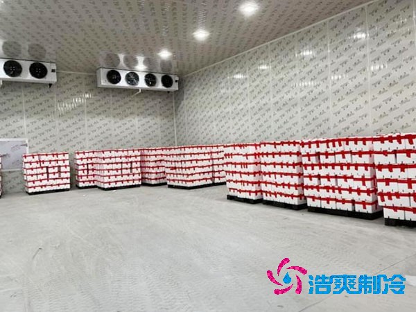 檳榔保鮮冷庫安裝造價費用多少錢？-浩爽制冷