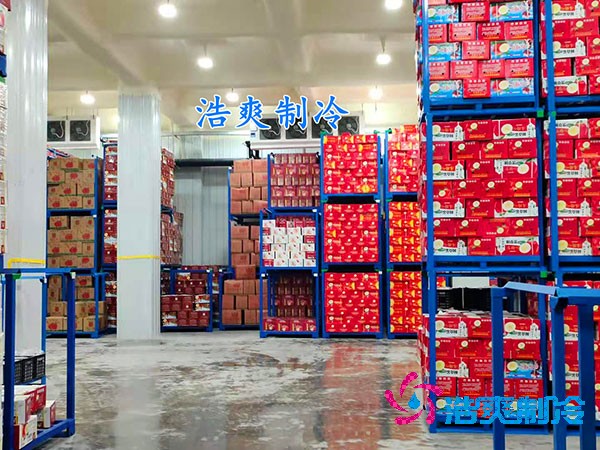 水果保鮮冷庫造價(jià)每平米多少錢？-浩爽制冷