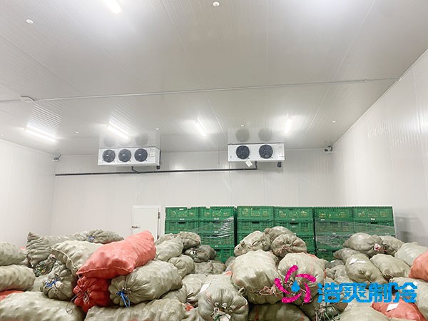 建造茭白保鮮庫造價及需求分析